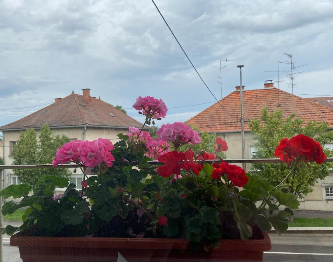 Apartman Cvjetnjak Cakovec Exterior photo